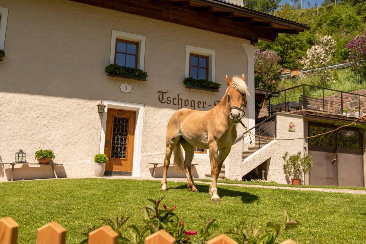 Chalet Tschogerhof Tiers Am Rosengarten Dolomiten Eksteriør billede
