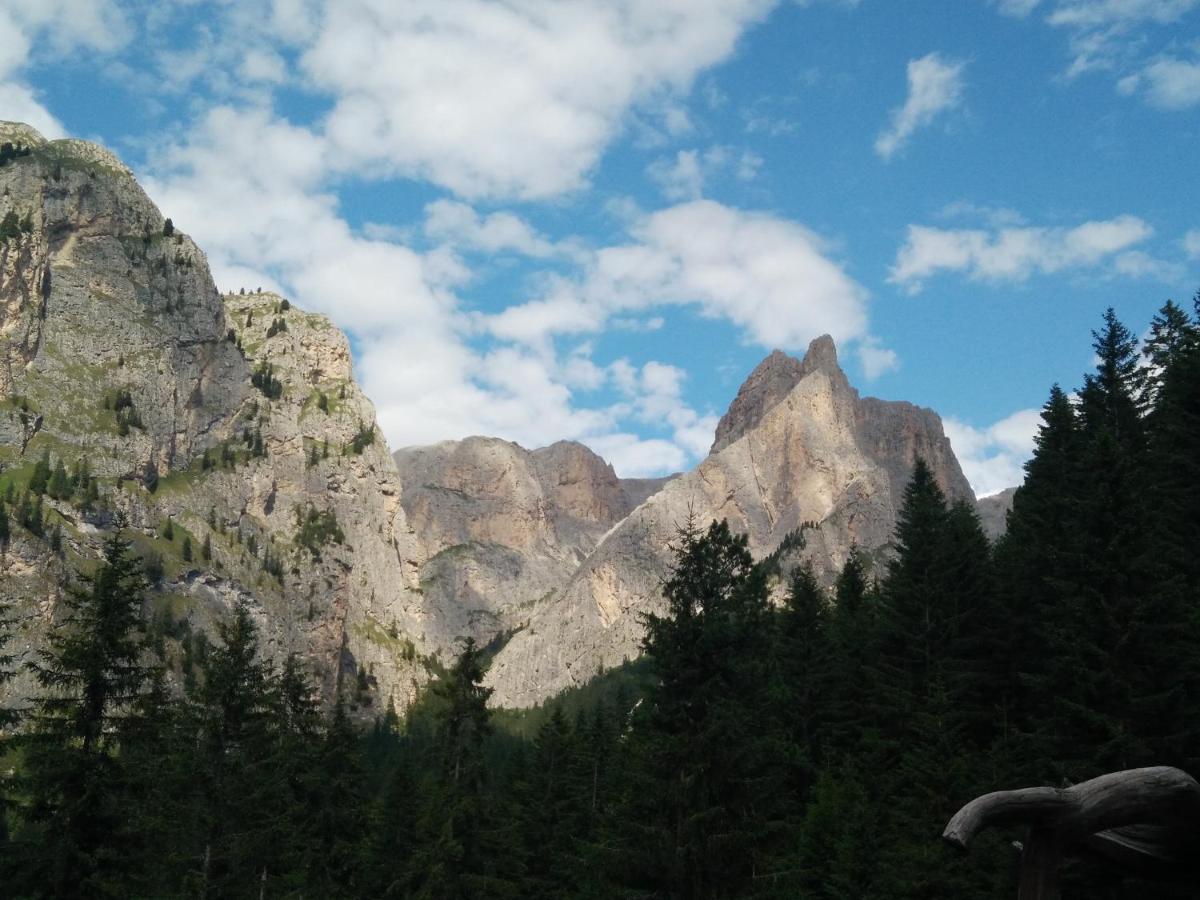 Chalet Tschogerhof Tiers Am Rosengarten Dolomiten Eksteriør billede